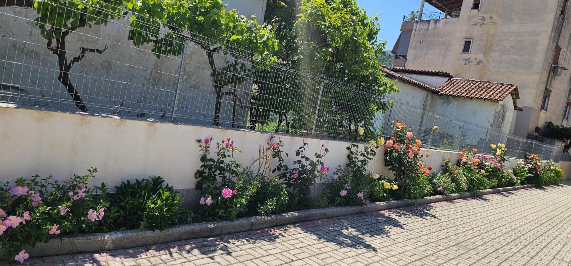 Aliaj Guest House Berat Kültér fotó